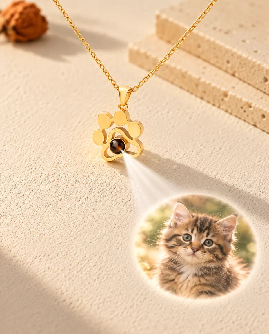 Guldfärgat tasshalsband projicerar en bild på en kattunge mot en yta av krämvit gips